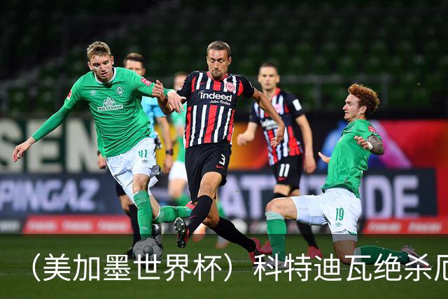 （美加墨世界杯）科特迪瓦绝杀厄瓜多尔 瑞典5:1大胜突尼斯